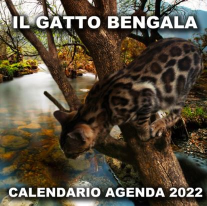 Agenda calendario Khoomfay - GATTO BENGALA