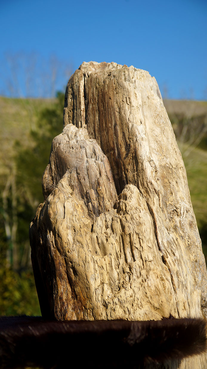 Tiragraffi in legno di acero particolare