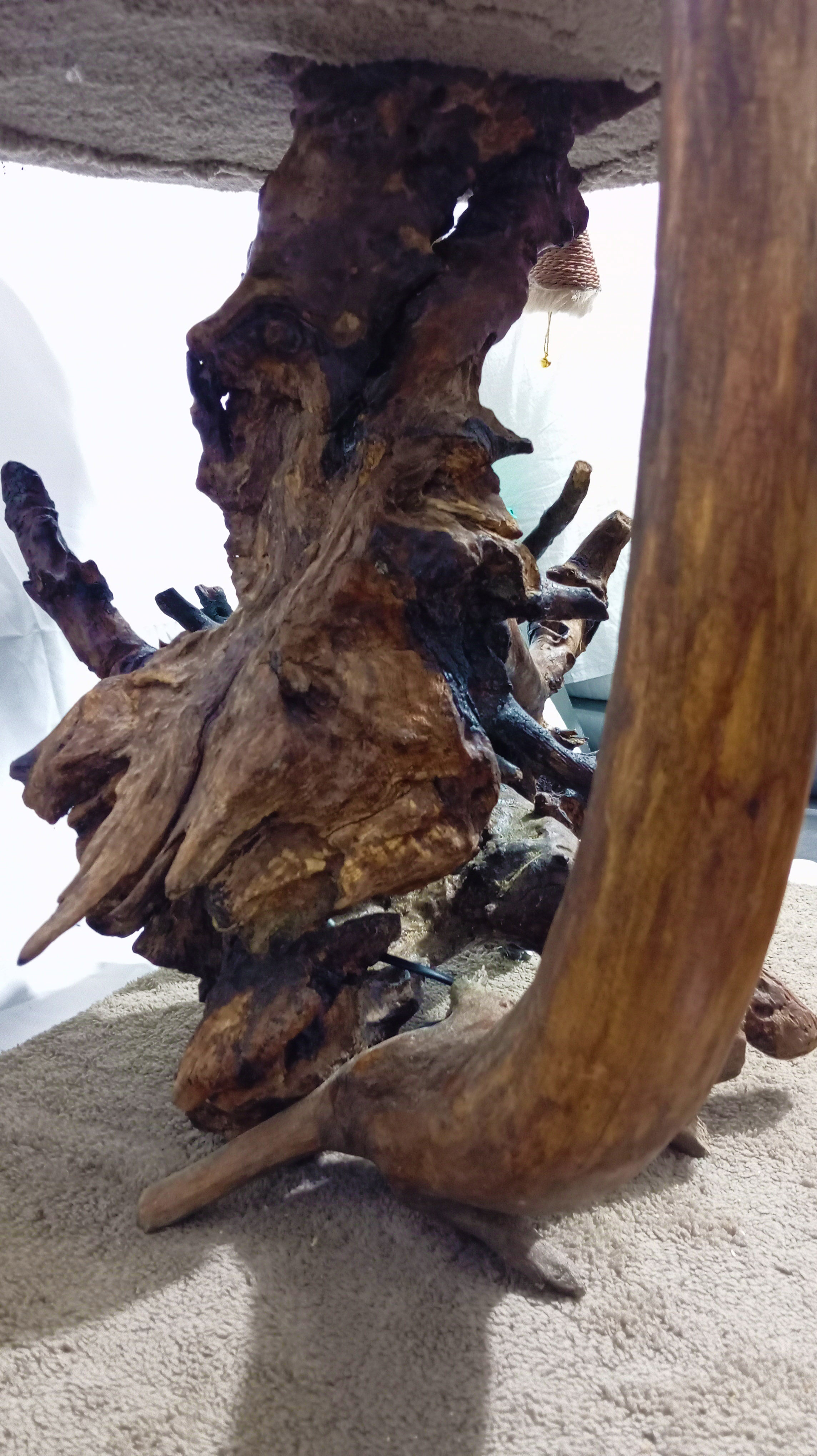 Tiragraffi in legno di ulivo particolare
